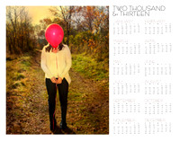 2013 wall calendar, at a glance photography calendar