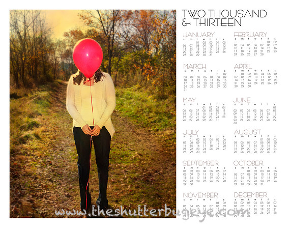 2013 wall calendar, at a glance photography calendar