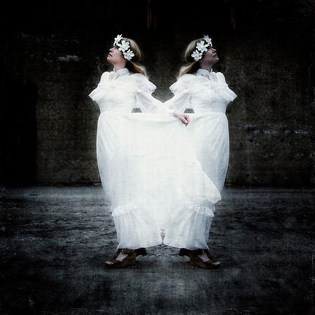 Twin Birde