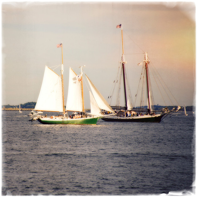 Boston harbor sailboat photography fine art photograph