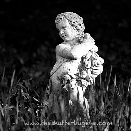 Cantigny Statue