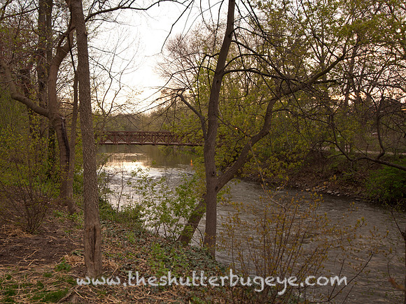 Dreamy Nature Photography, Fine Art Print for Sale
