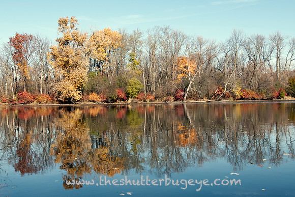 Fine Art Photography Print, Dreamy Nature