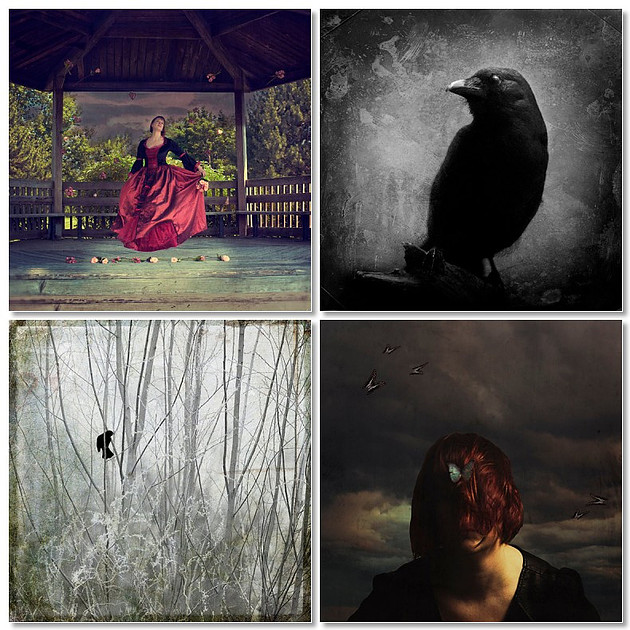 Color and black and white photographs featuring surreal portraits and black birds.