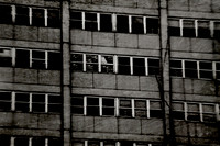 Cabrini Green Windows