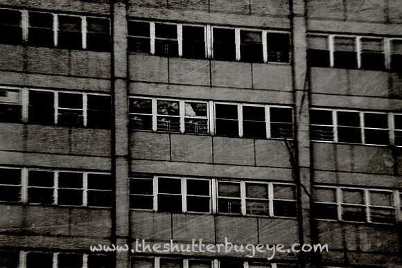 Cabrini Green Windows