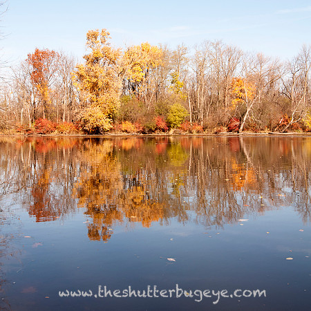 Fine Art Photography Print, Dreamy Nature