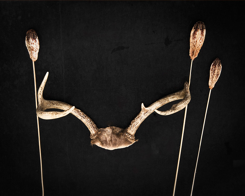 Deer antlers and pods against black background. Holiday home decor.