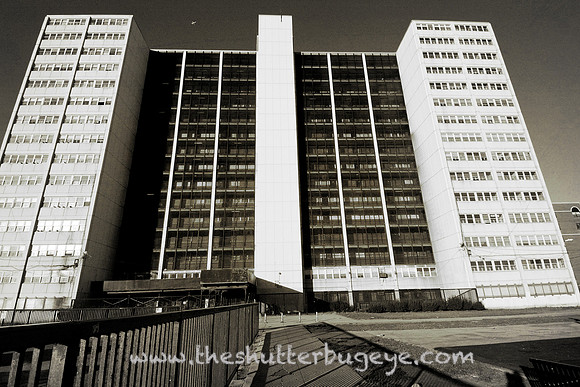 Black and White Photograph Cabrini Green Highrise